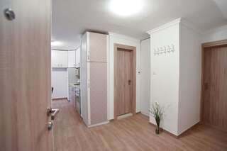 Апартаменты Palm square B&B apartment II Будва Апартаменты-73